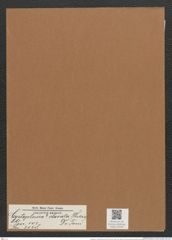 Cystopleura ? clavata (Dickie) De-Toni (de-Toni-Nr.: Genus 103, Species 3138) Zeichnungen Sammlung Grunow Mappe 03379 (Herbarium_W_Grunow_drawings_Folder_03379)